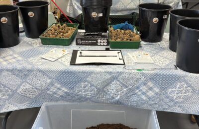 Plot To Plate at Bishop Auckland Food Festival.